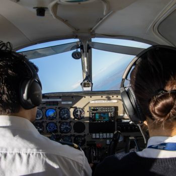 pilot licence
